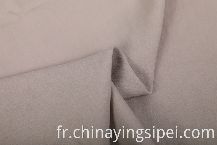 1008 China Gold Fournisseur Stock Eco Friendly Woven Plain Polyester Rayon tissu